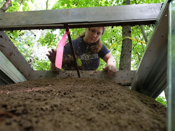 Maumee archaeological digs turn up mixed results