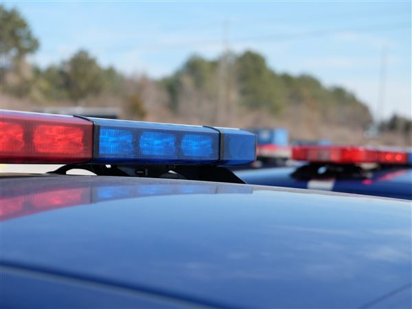 One dead after single vehicle crash Monday