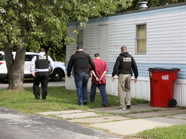 Blitz targets domestic violence suspects
