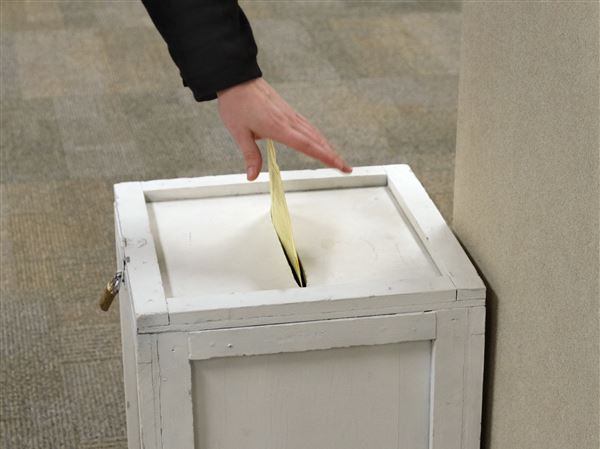 How and where to vote