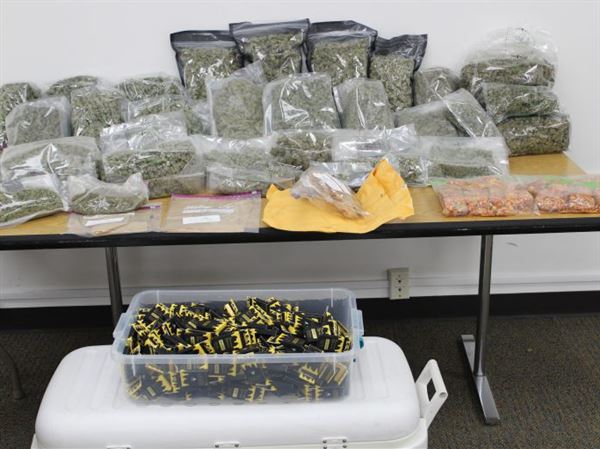Perrysburg woman accused of drug trafficking