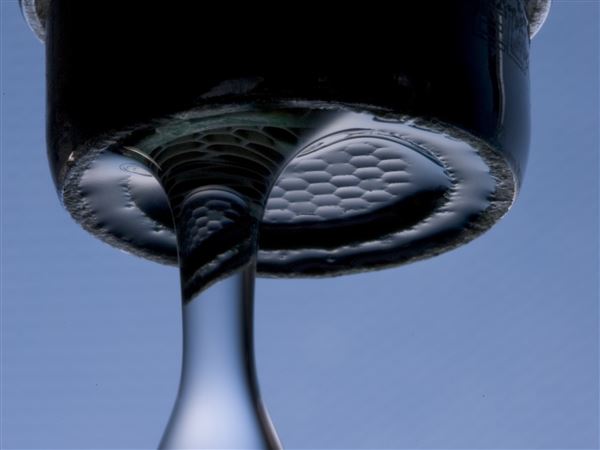 High cost of water treatment affecting Monroe