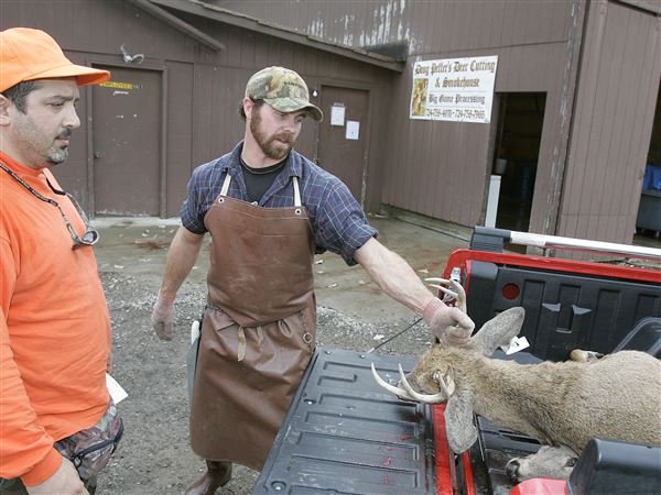 Important process ensures a healthy deer harvest