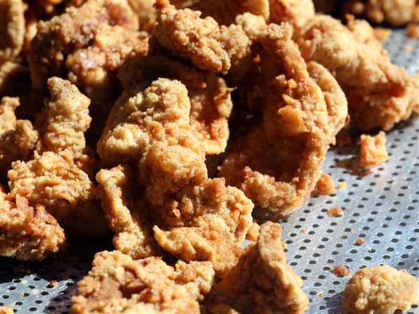 'Calf fries' are a hit at Michigan festival