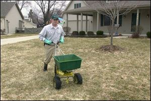 Todd Friend applies granular pre-emergent herbicide to a lawn in Maumee. The chemical stops weed seeds' growing process. 