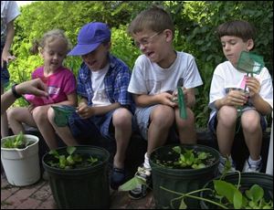 Chloe Rick, left, watches and John Miesle, right, squirms after Jimmy Stevens has scooped up an earwig from his aquatic pond during a Toledo Botanical Garden program.