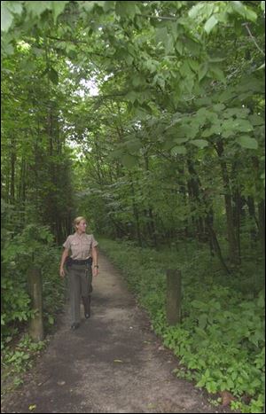 Jamie Murphy, Northwest Preserve manager, says Goll Woods abounds in wildlife and has trees up to 200 years old.
