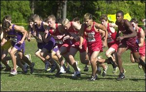 And they're off ... at the boys Division I district cross country meet at Pearson Park yesterday.