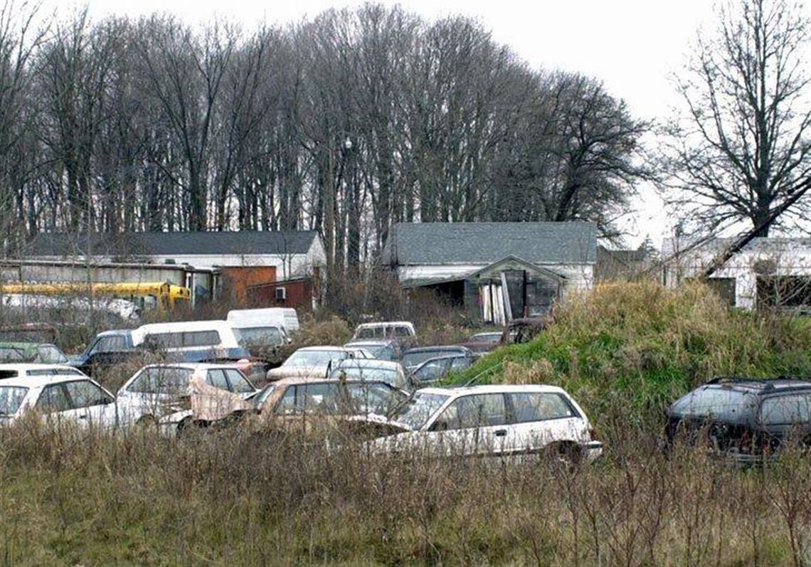 junkyard the north face