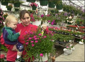 With her year-old son, Trenton, Alicia Kramer checks out the selection at Ohlman's Greenhouse in Toledo.