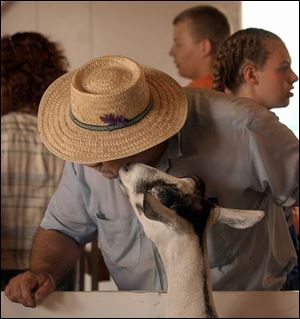 reg fair25p A june 25, 2002. Tom Poling of Columbus Grove, O., gets a kiss from a goat at the Putnam County Fair Tuesday afternoon. Blade photo by Jeremy Wadsworth
