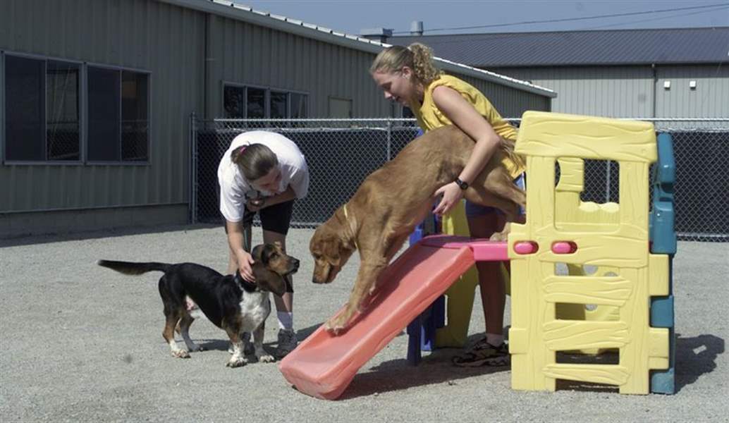 Hostelry-caters-to-guests-who-like-chew-toys-walks-and-grooming-2
