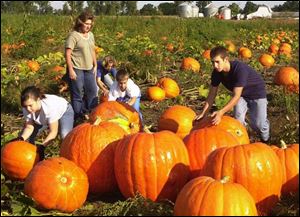Working the Harnica family pumpkin patch are, from left, Carolyn, 10; their mother, Dawn; Alexis, 11; William, 6, and John Harnica, Jr, 13.