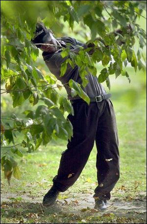 Central Catholic's Eric Allen hits out of the tree line near No. 18 at Ottawa Park Golf Course yesterday during the City League Golf Championship.  Allen shot an 80 after a first-round 71. St. John's Jesuit rallied to win its second consecutive City League golf title.