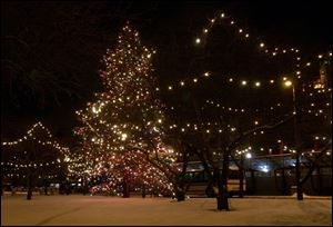 CTY tree02p 12/02/02  Trees light up on the island on Jackson Street between Huron Street and Erie Street.  The lights were turned on a little after 6:30pm. Blade photo by Lisa Caswell