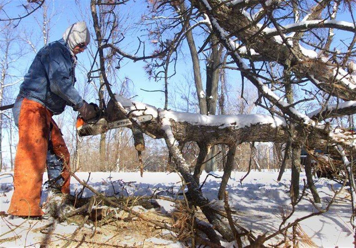 Image result for clear out the deadwood