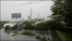 A motorist navigates around wires and trees on East Wooster Street in Bowling Green.