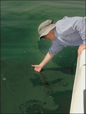 Tom Bridgeman, a University of Toledo research assistant professor, inspects the algae.