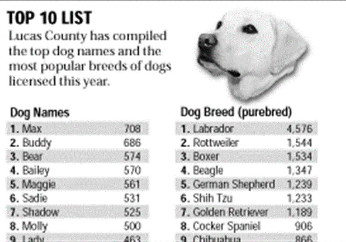 all dog list name
