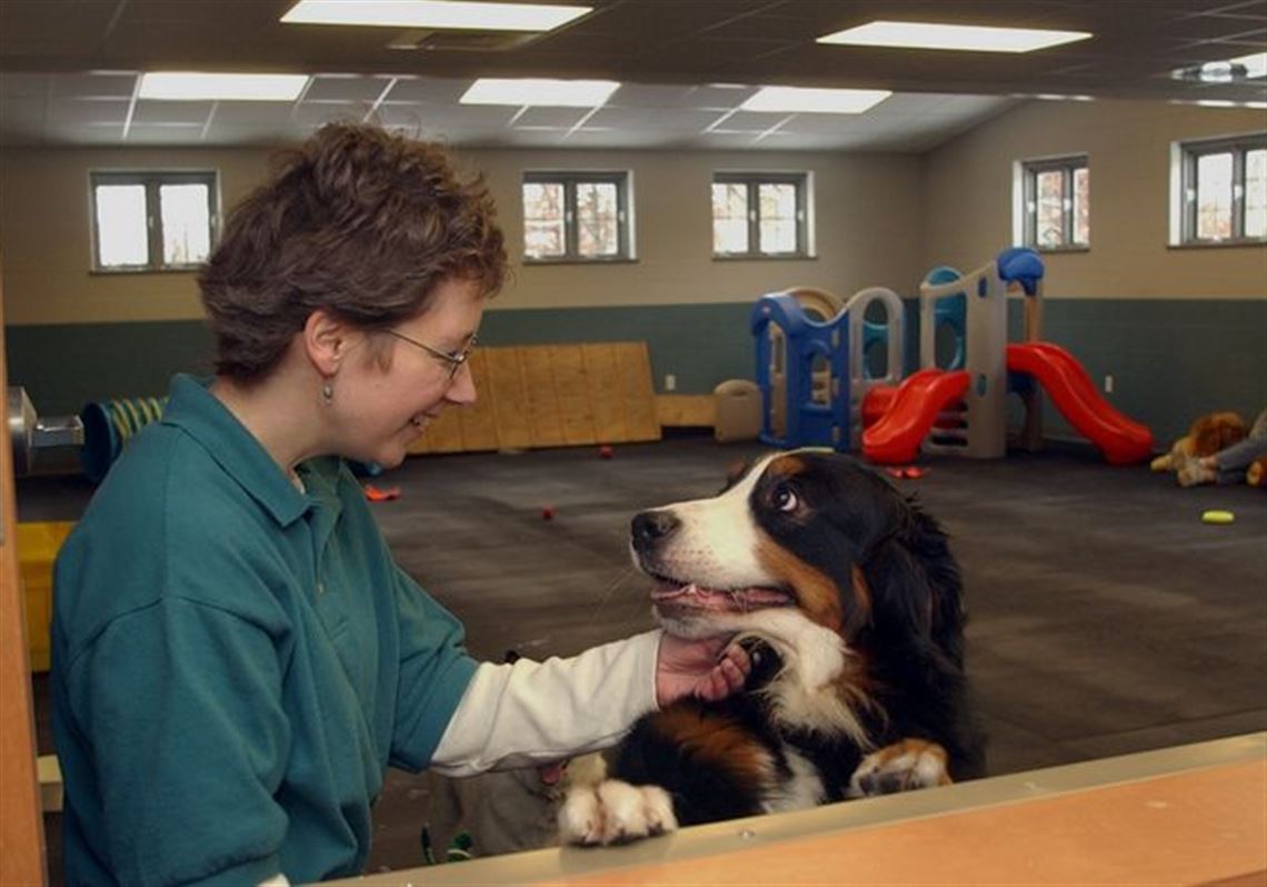 Veterinary hospital billed as pet care destination