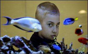 ROV January 28, 2004 - Andrew McCray, 9, a third grader at St. Agnes school, took advantage of a weather related day-off from school by visiting the downtown Toledo-Lucas County Public Library where he checked out the aquarium in the children's library.  Blade photo by Dave Zapotosky