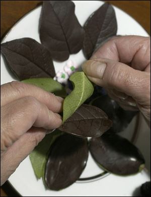 Chocolate Leaves
