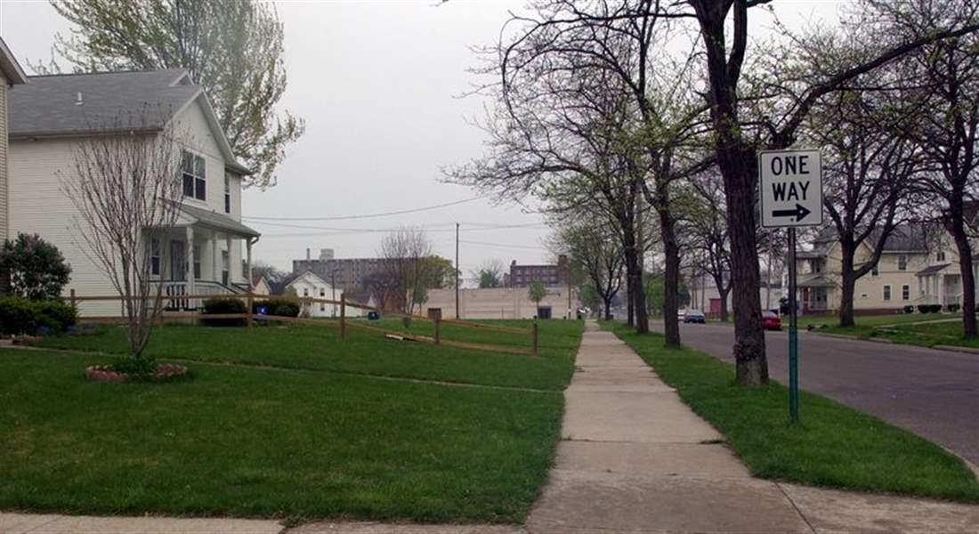 Ash-borer-not-alone-in-threatening-shade-trees