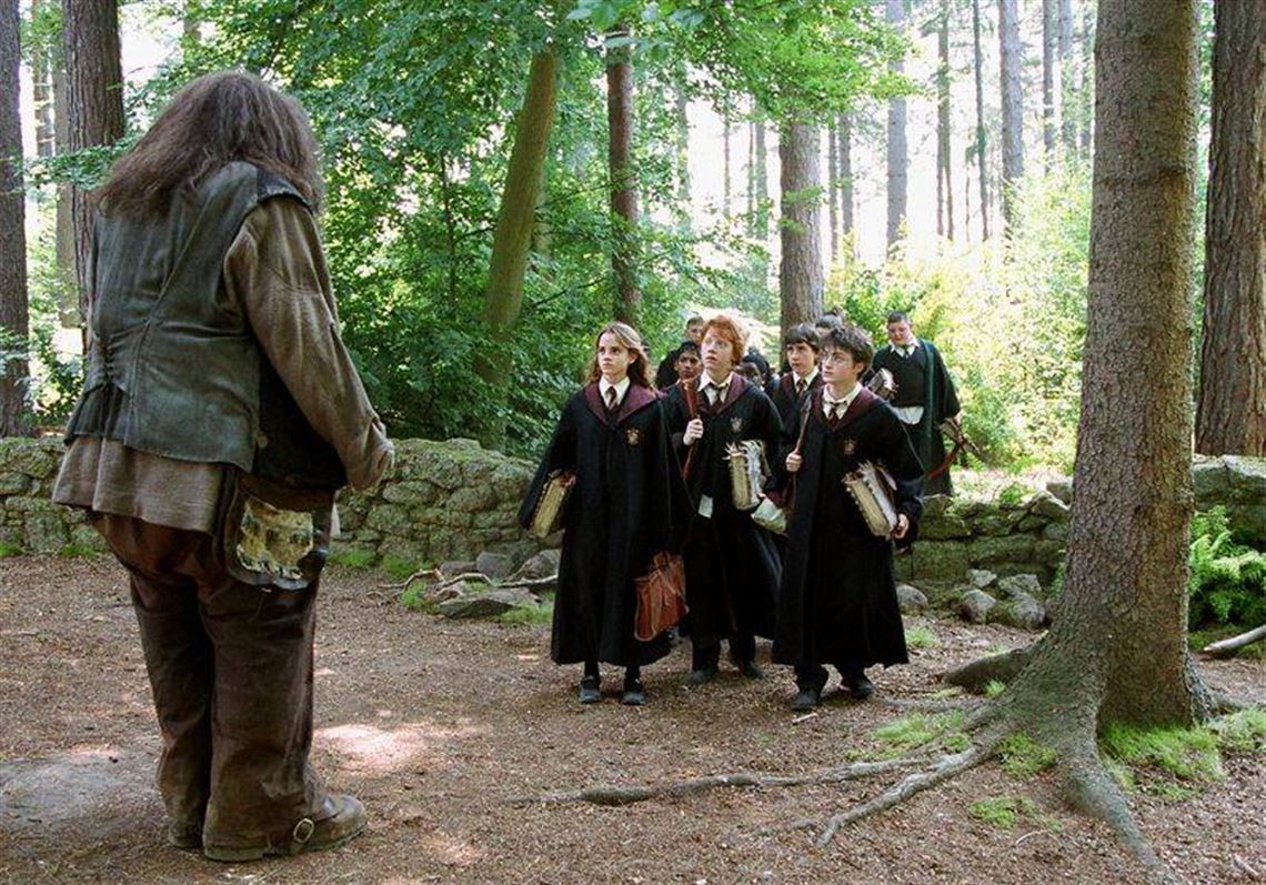 Movie Review: Magic is Long Gone From the Wizarding World of