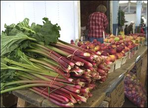 
Rhubarb's stalks are edible, but the large green leaves should not be eaten.
