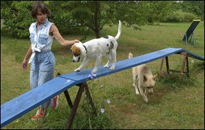 Jane Huth plays with Grover, walking on board, and Bubba.