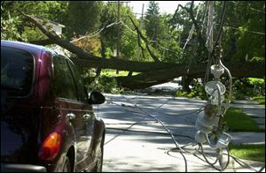 A century-old oak, snapped at the base on a calm afternoon, rests on River Road. The tree smashed onto Vicky Hatton's vehicle, shattering her sun roof and taking power lines with it.