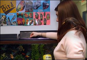 Biology major Cori Brennan, 19, takes care of feeding the fish at the Lourdes College lab, with a little help from Willey, a starling.