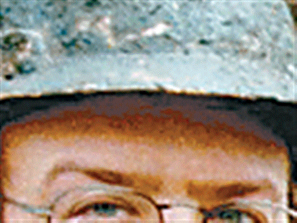 Bowling Green man's effort to drop plea goes to judge | The Blade