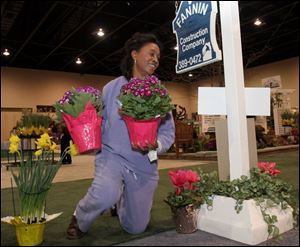 ROV homeshow11p   Carolyn Powell, of Toledo, decorates the display of Fannin Remodeling for the Toledo Home Remodelers Association's 2005 Home & Garden Show in Toledo, Ohio on March 12, 2005. Powell is an employee of the firm. The show runs through Sunday. Jetta Fraser/Blade