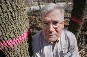 Pink rings painted on doomed ash trees flank John Jaeger, natural resources manager at Pearson Metropark. Ash trees are threatened by the emerald ash borer.