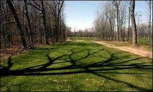 This is the tee for the 8th hole which is part of the new 9 holes that has been added to Spuyten-Duyval golf course located at 9501 W. Central Ave. 