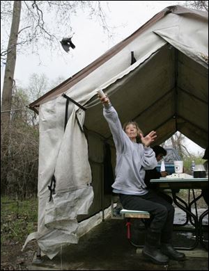 Jan Dixon releases a red-winged blackbird after it was banded. The banding procedure does not harm the fragile birds.