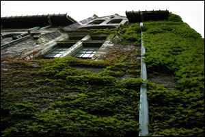 Vines climb the exterior of the Collingwood Arts Center.
The author recalled feeling  a strong sensation  when he visited the center s basement.