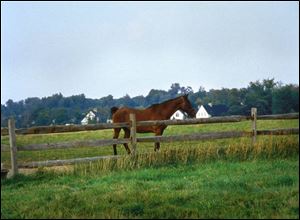 The inn is located in horse country near Cleveland.