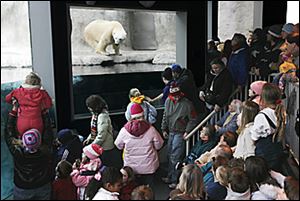 Slug: ROV zoo07p                     Date:   1/7/2006 The Blade/Amy E. Voigt       Location: Toledo Zoo, Toledo, OH   Caption: A group of people swarm into the Arctic Encounter area of teh Toledo Zoo to watch 