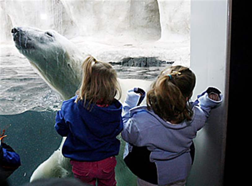 TOLEDO-PLENTY-OF-FROZEN-ACTIVITY-AT-THE-ZOO-2