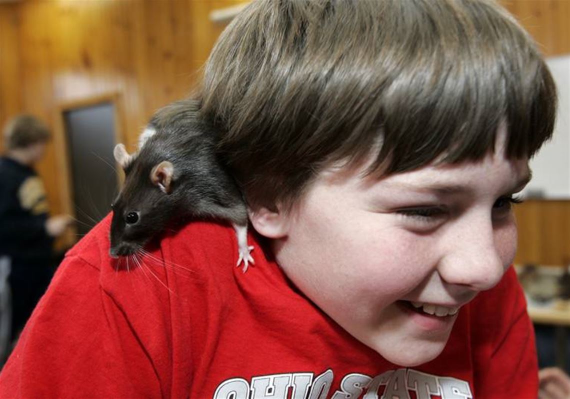 School Turns Cool For Woodmore S Winter Camp Week The Blade