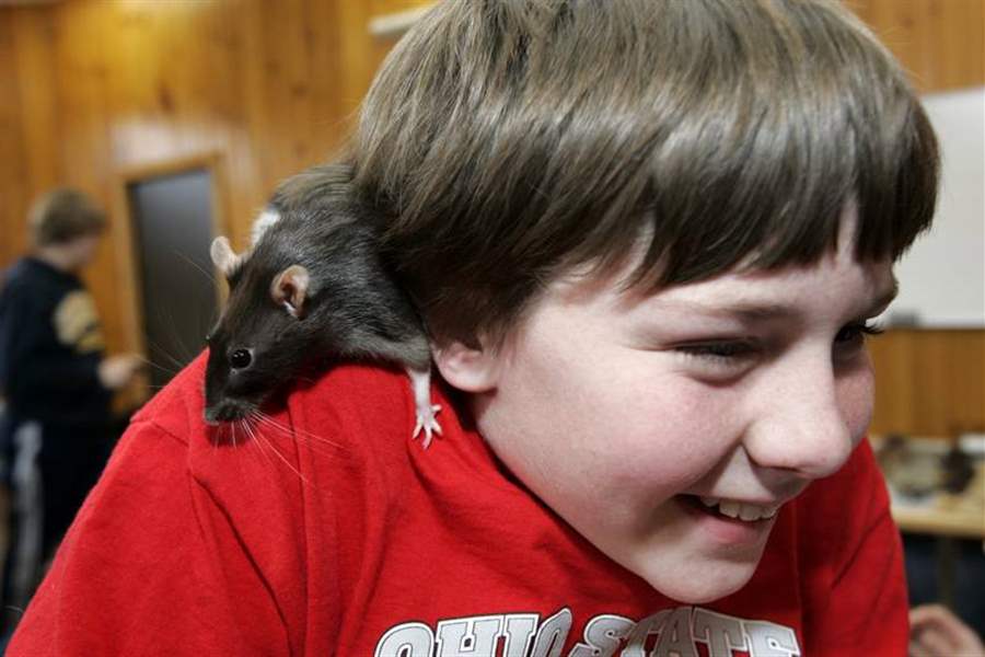 School-turns-cool-for-Woodmore-s-winter-camp-week-2
