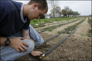 Andy Wagner, 16, works on the irrigation system of his strawberry patch at his home in Dover Township. 