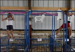 Erica Guyer, 11, left, a member of the Portage 4-H Club, navigates atop sheep pens at the fair.