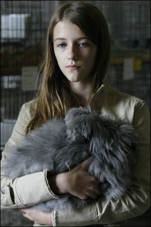 Erica Horak, 11, strokes her Black English Angora rabbit at the fairgrounds.
