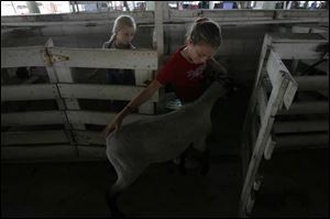 Alexis Circle, 10, left, watches her sister Bridget, 12, lead her lamb into its pen at the Fulton County Fairgrounds. The girls are both 4-H members who will participate in the fair.
