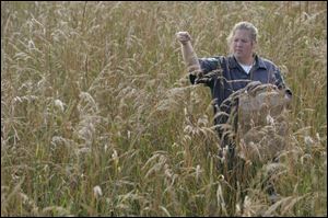 Penny Wagner looks for Indian grass seeds - at 12,000 to an ounce - at Blue Creek Metropark. 