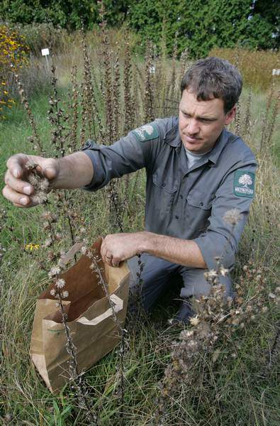 Seed-collectors-help-Metroparks-remain-in-bloom-2