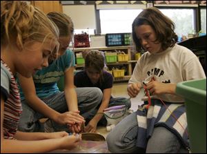Chelsea Green, Emily Shepard, Jessica Burch, and Lindsey Campbell, from left, all 9 and fourth graders at Olney Elementary School in Northwood, work on their book projects.
